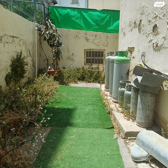 דירה, מיכאל, גאולה, חיפה