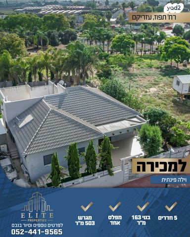 התפוז 1