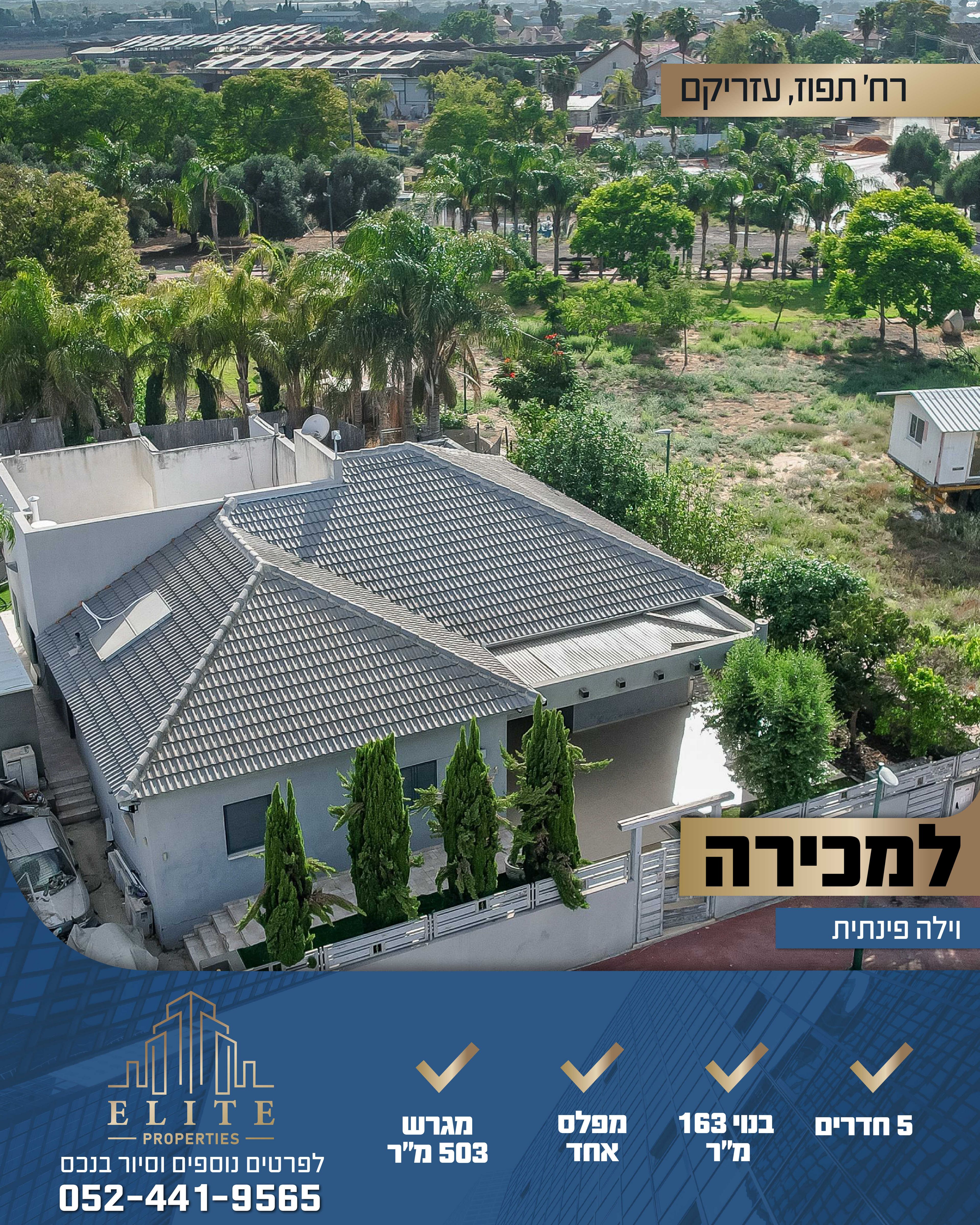 התפוז 1