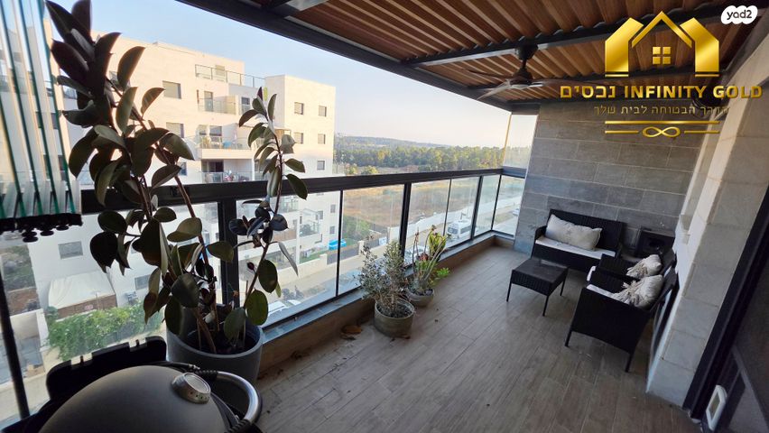 נרקיס 