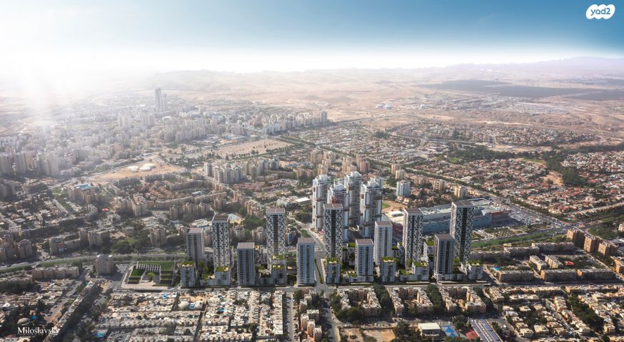 הצבי 95