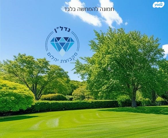 מגרשים