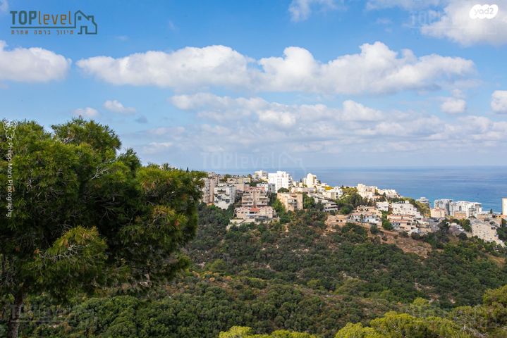 בית לחם 