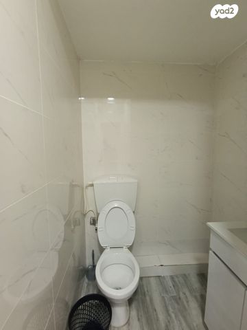 דירה, ברזילי, יל"ג, חיפה