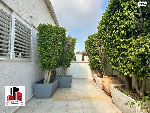 דופלקס, כפר סבא