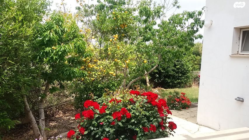 בית פרטי/ קוטג', כפר ורדים