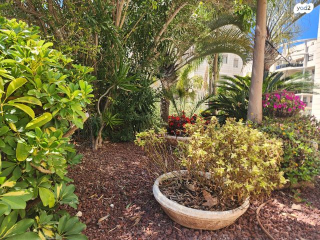 דירה, רביבים, תל אביב יפו