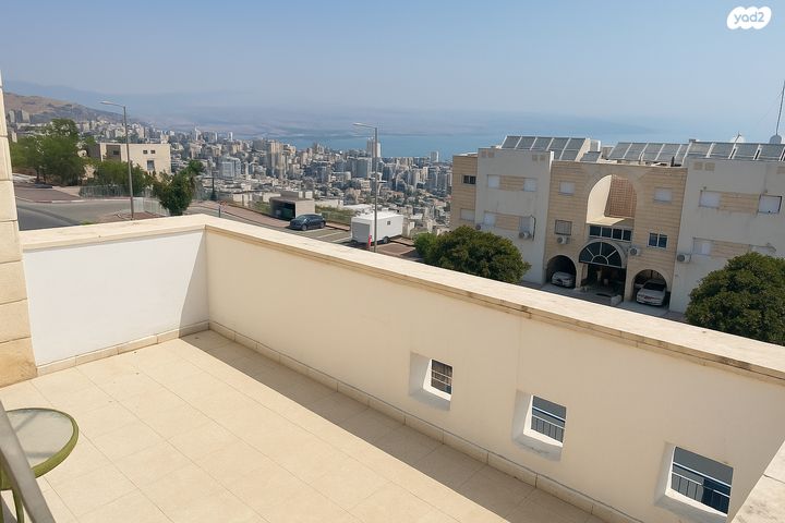 הדקל 22