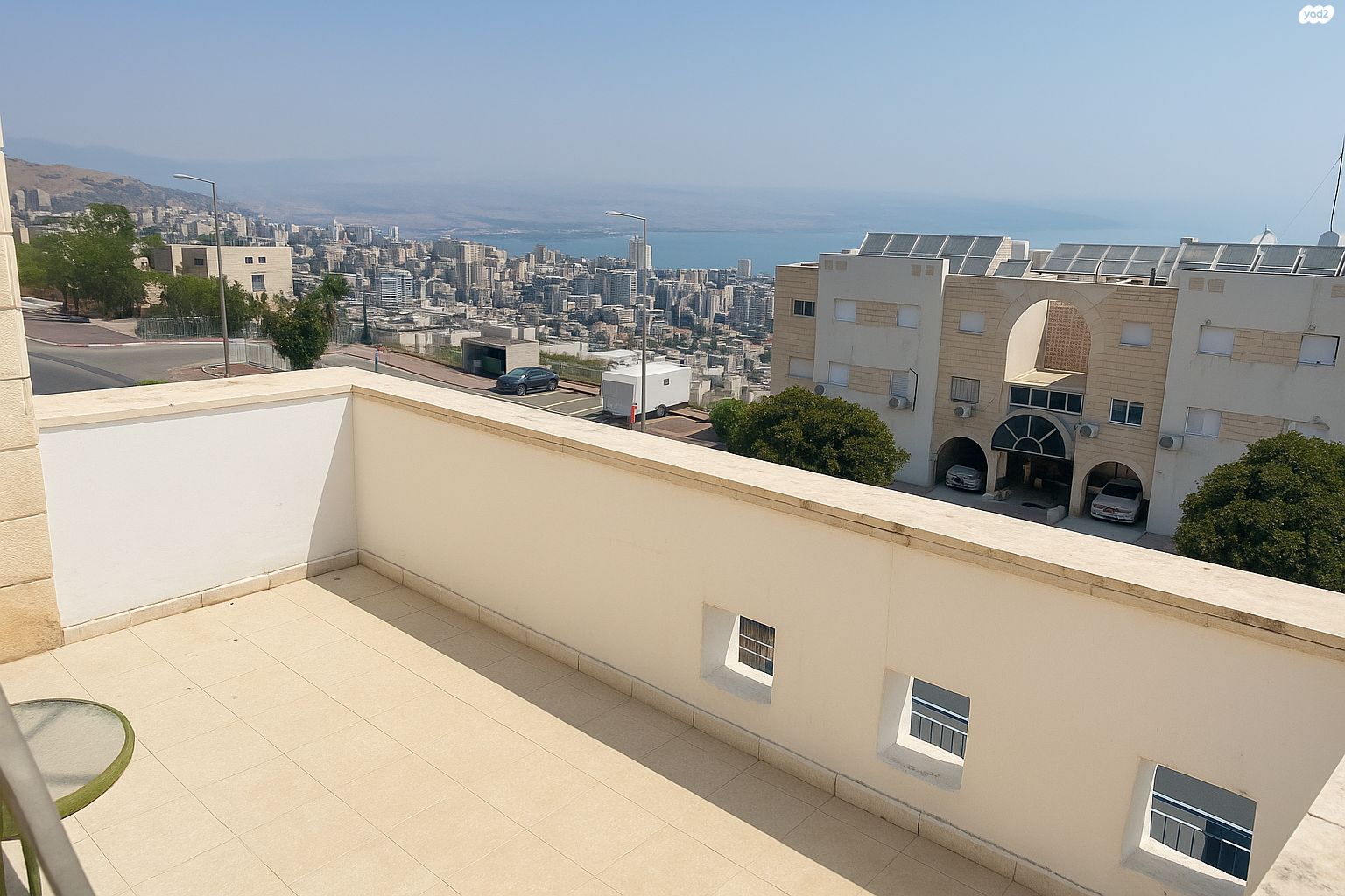 הדקל 22