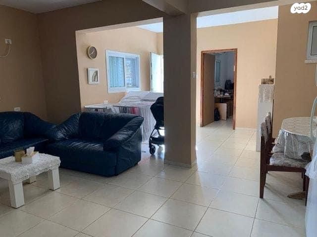 האקליפטוס 11