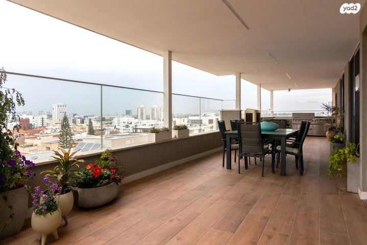 גג/ פנטהאוז, ד"ר מוסקוביץ' 13, ב' / צפון מערב העיר, רחובות