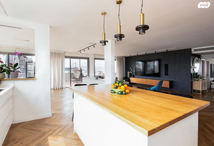 גג/ פנטהאוז, ד"ר מוסקוביץ' 13, ב' / צפון מערב העיר, רחובות