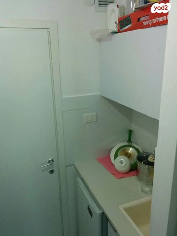 דירה, אריה לובה אליאב, זיו, חיפה