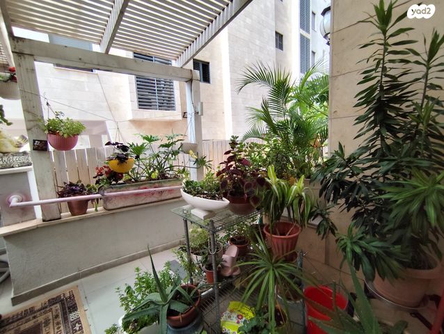 דירה, הרב ריינס 15, צפון מזרח מרכז העיר, נתניה