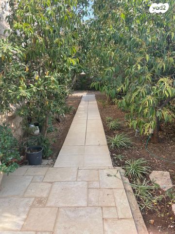 דירת גן, צבי גרץ, עמק רפאים, המושבה הגרמנית, ירושלים