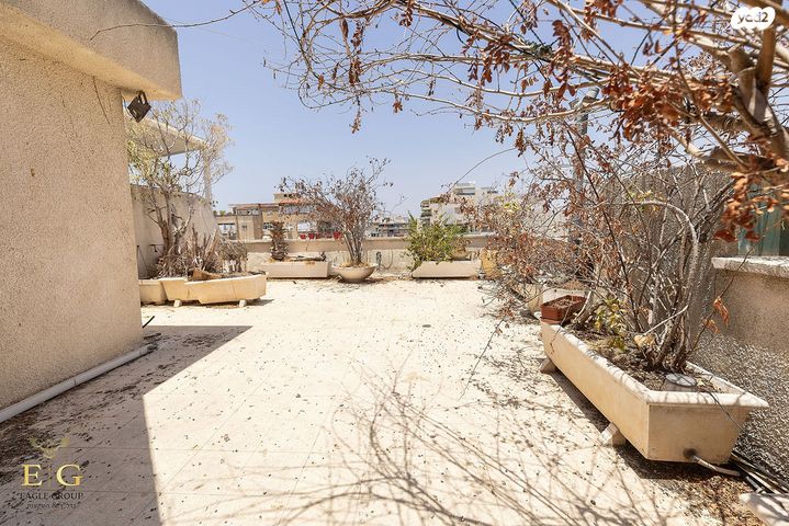 דופלקס, רמז, מערב ותיק, ראשון לציון