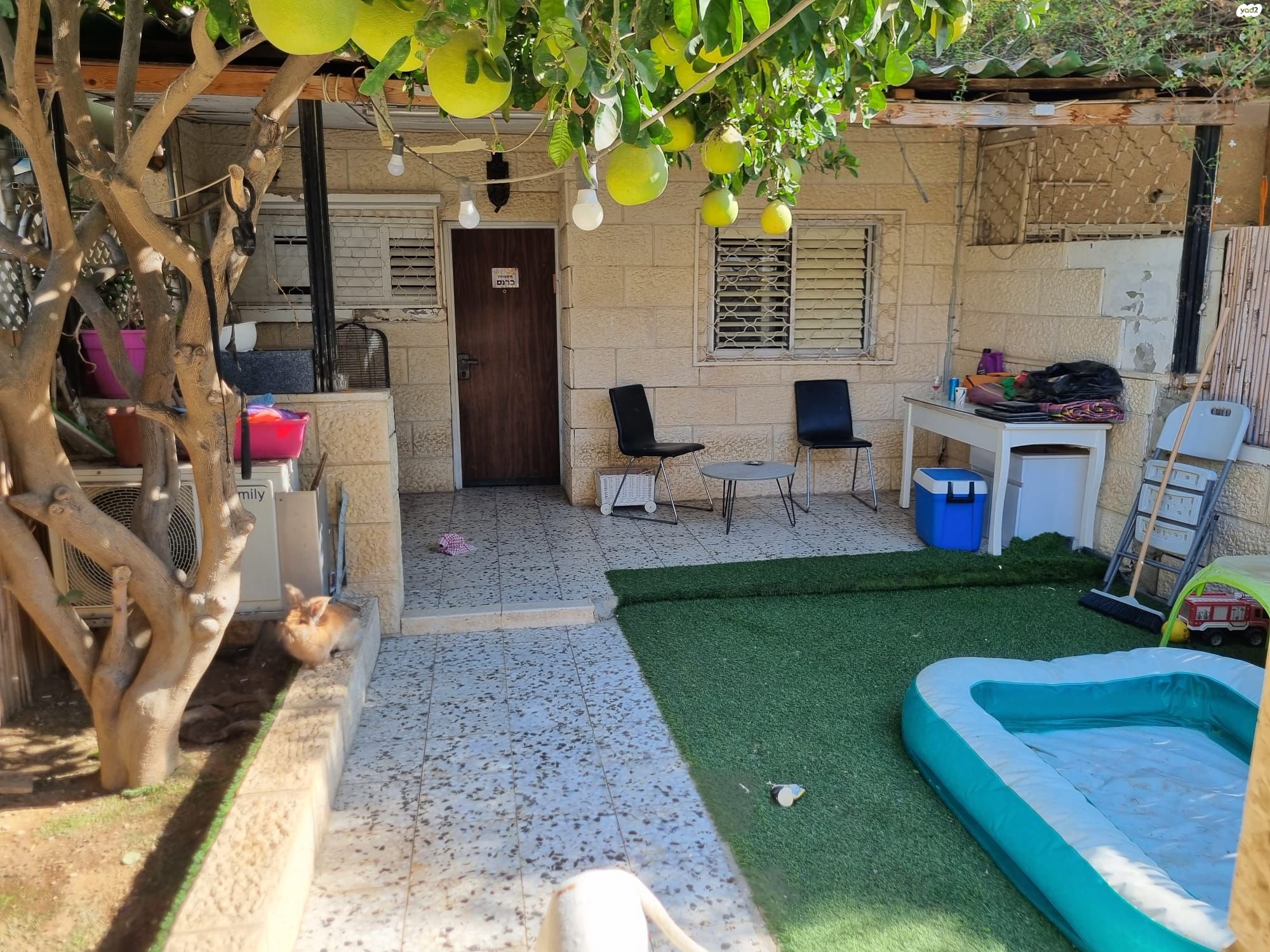 יוחנן הורקנוס 