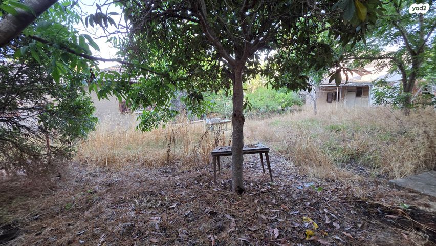 דו משפחתי, בית הלל, מורשה, רמת השרון