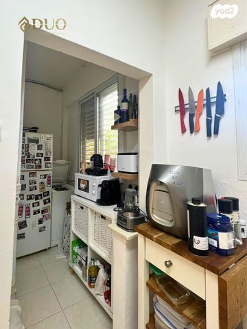 דירה, זיו, חיפה