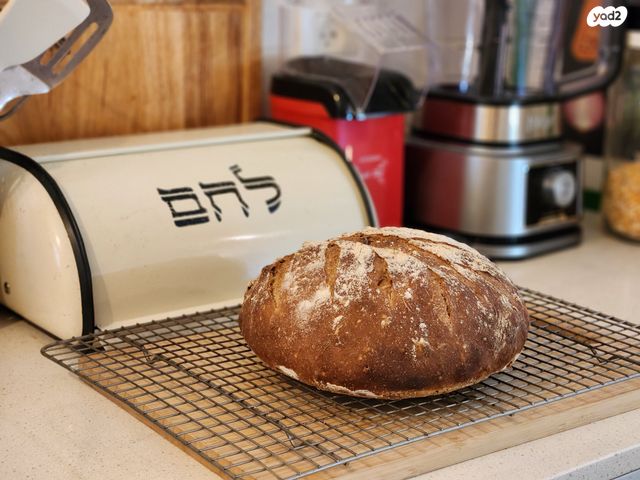 דירה, קלאוזנר 19, מרכז דרום, רעננה