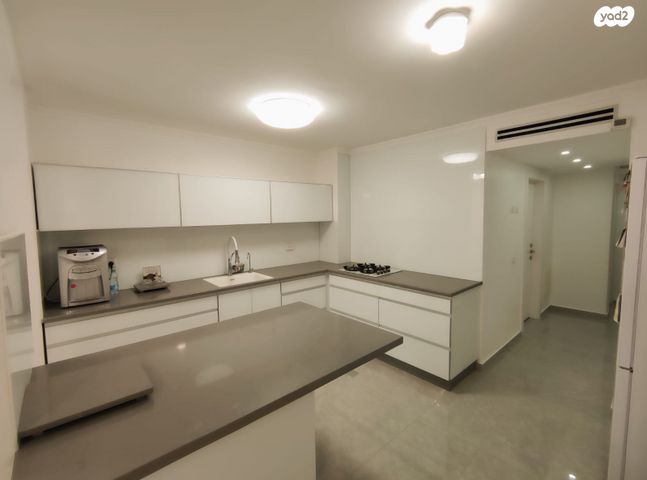 טייטלבאום 12