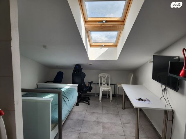 דירה, אריה לובה אליאב, זיו, חיפה