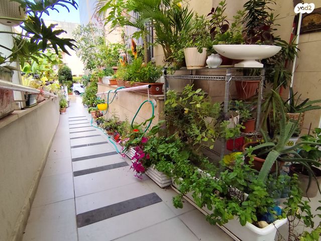 דירה, הרב ריינס 15, צפון מזרח מרכז העיר, נתניה