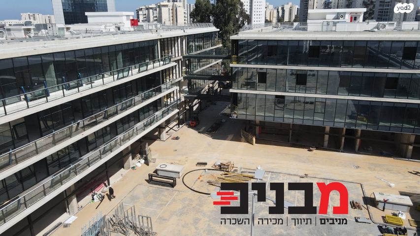 שושנה דמארי 