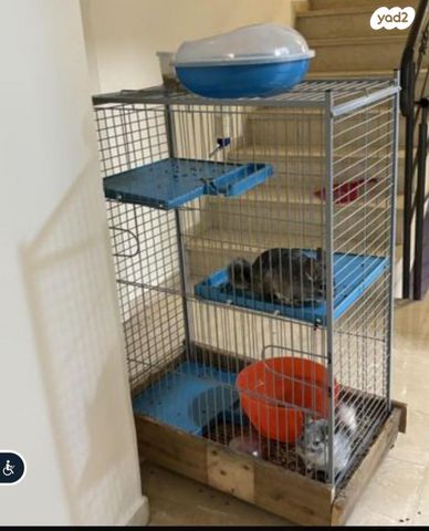 תמונת מודעה - חיות מחמד