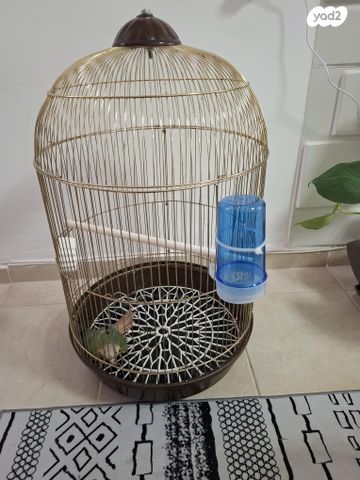 תמונת מודעה - חיות מחמד