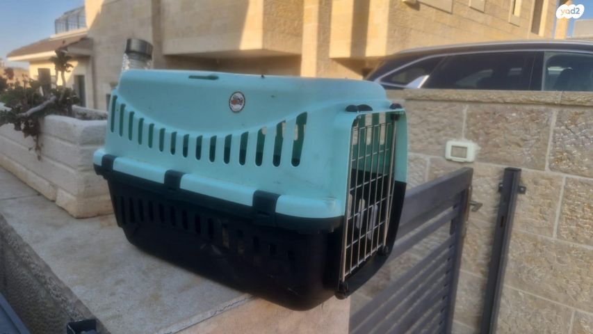 תמונת מודעה - חיות מחמד