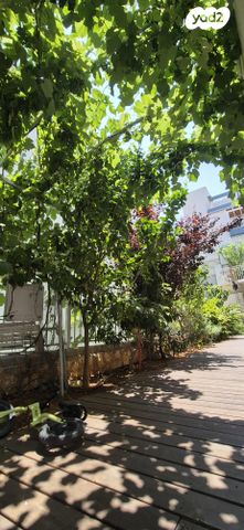 דירת גן, אלה 4, לשם, עלי זהב