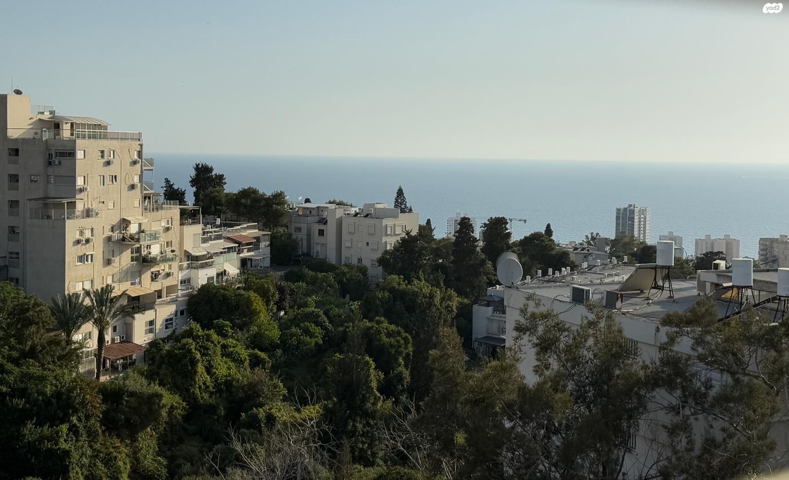 אדמונד פלג 32