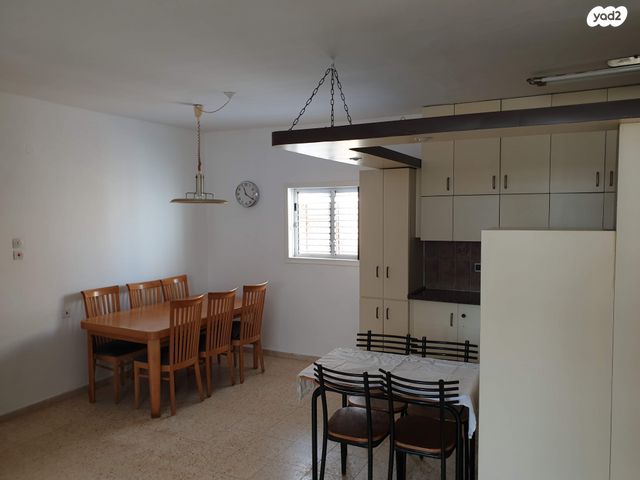 צבי הרמן שפירא 1