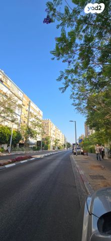 אילת 