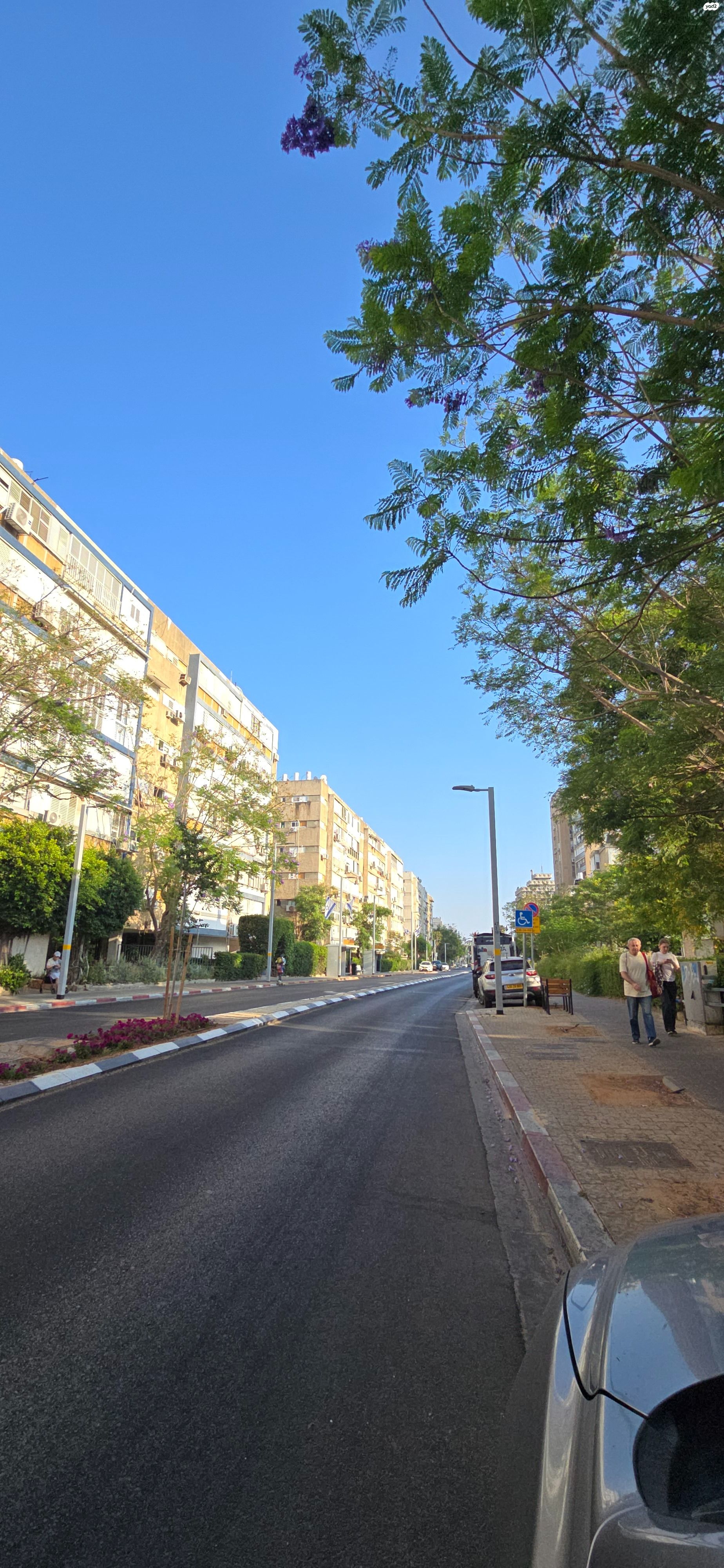 אילת 