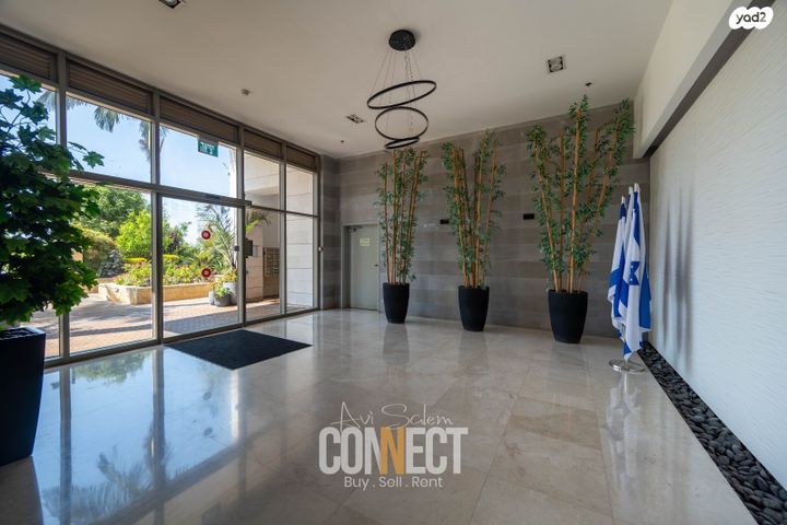 דירה, רבקה גובר, הדר המושבות החדשה / אם המושבות החדשה, פתח תקווה