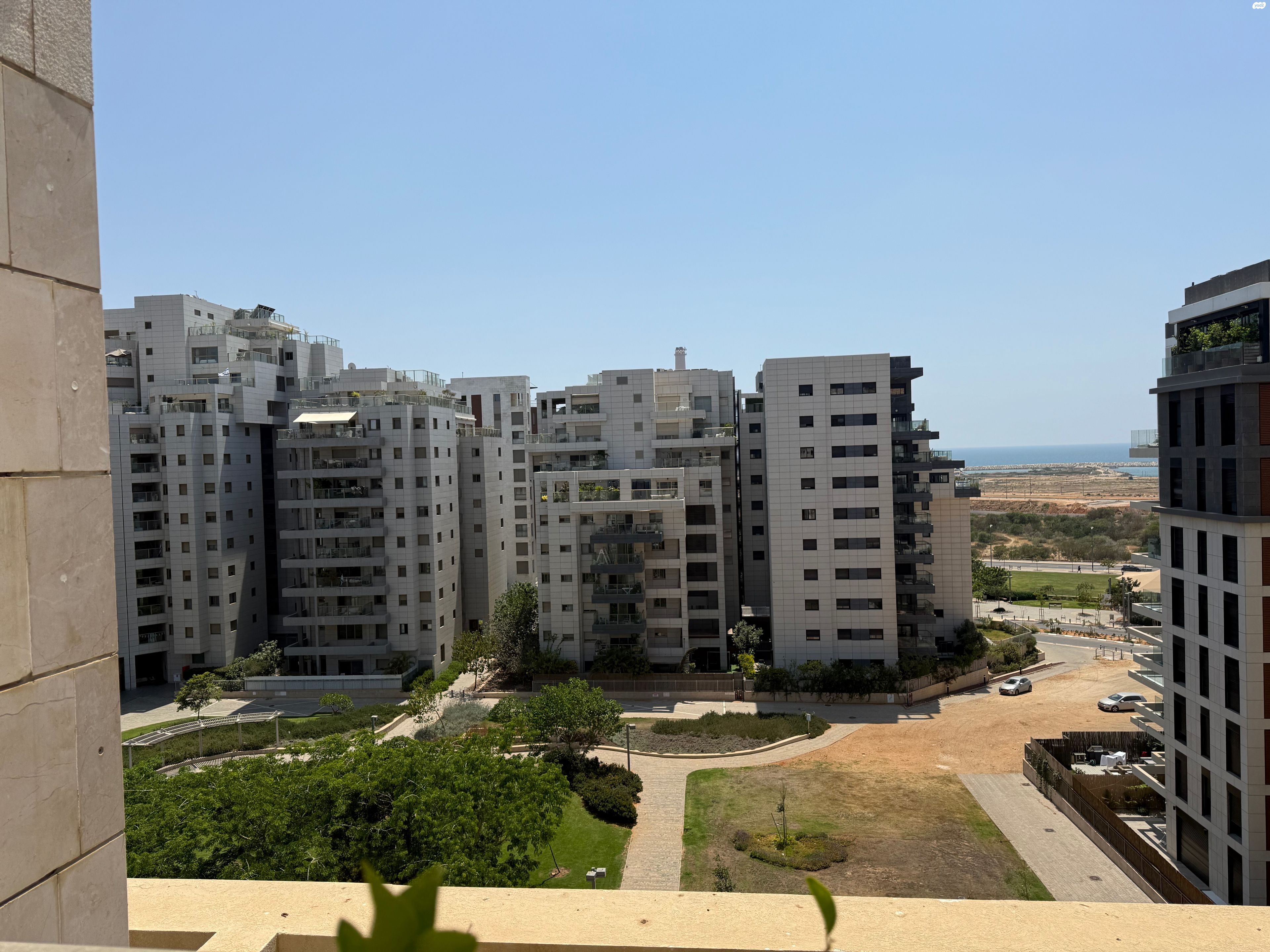 פרופ' יובל נאמן 
