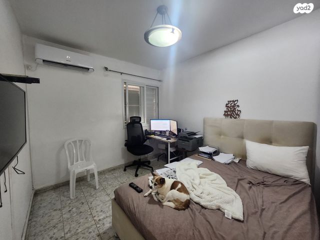 דירה, הרצל, טירת כרמל