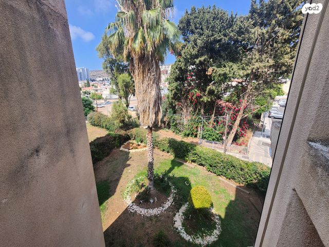 דירה, הרצל, טירת כרמל