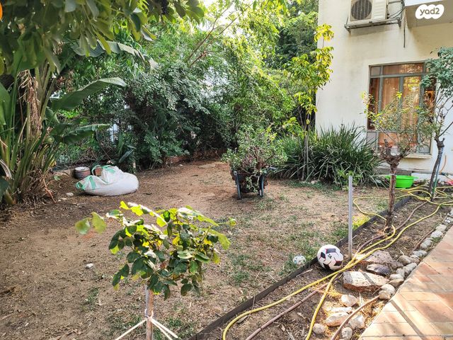 דו משפחתי, חוחית, צוותא ב, אלפי מנשה