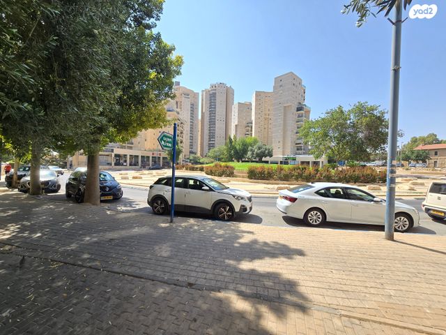 דירה, עלי דיוויס, העיר העתיקה, רמב"ם, דרום, באר שבע