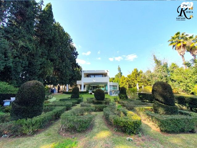 בית פרטי/ קוטג', סביון