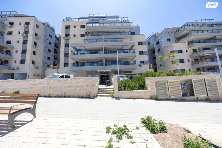 תלמוד ירושלמי 20