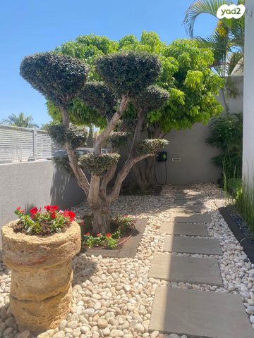 בית פרטי/ קוטג', בת הדר