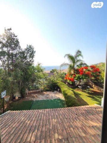 דו משפחתי, חוחית, צוותא ב, אלפי מנשה