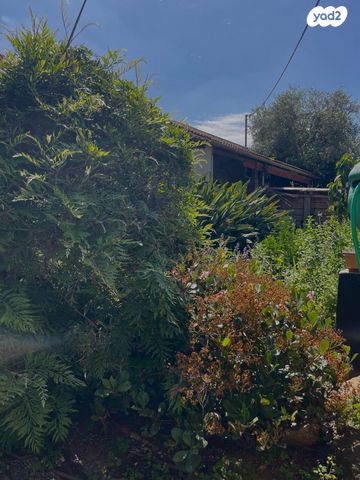 דו משפחתי, חרוצים