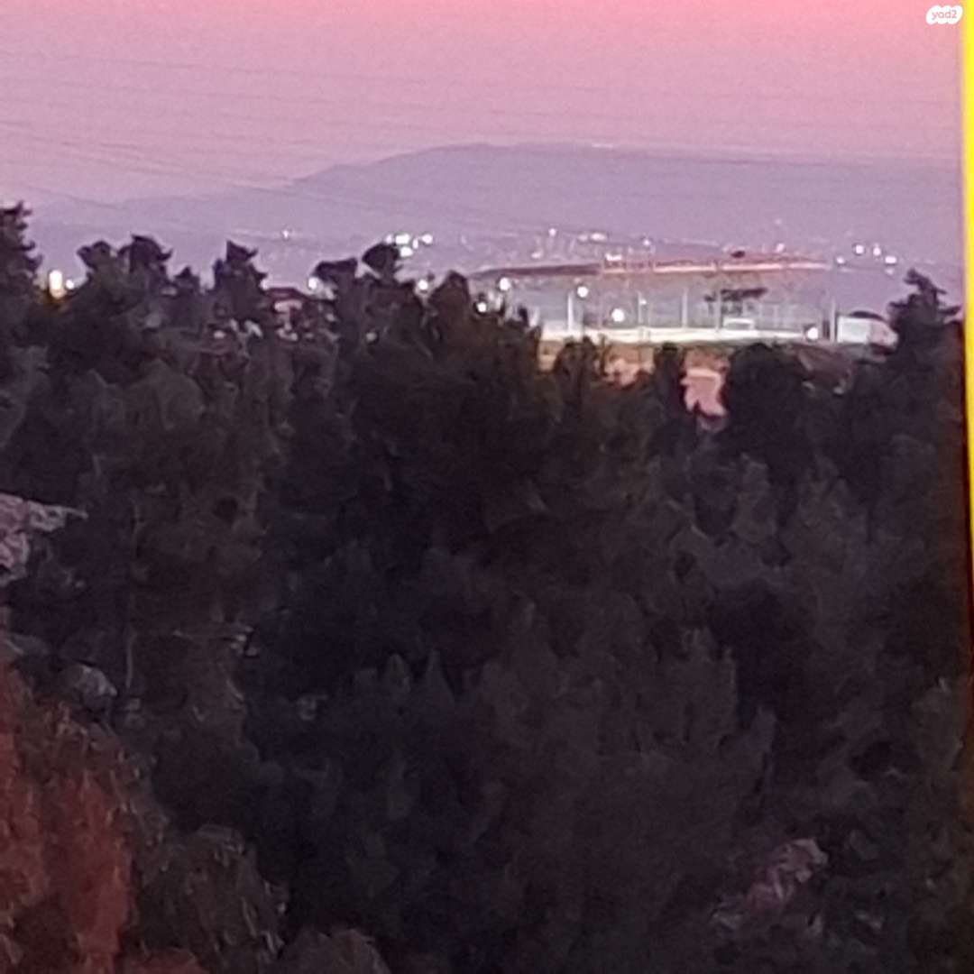דירה