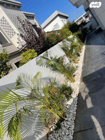 דו משפחתי, כפר יונה