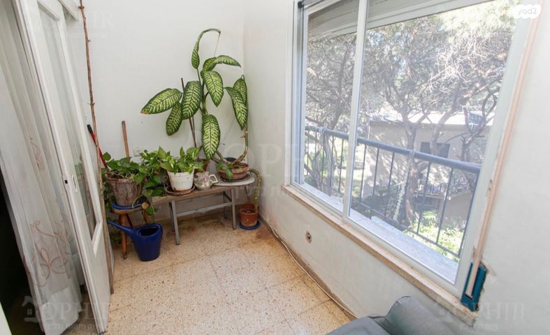 דירה, מרכז הכרמל, חיפה